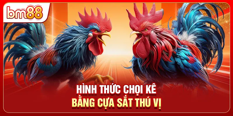 Hình thức chọi kê bằng cựa sắt thú vị